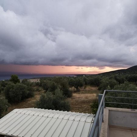 Panoramic View Summerhouse Loukissia Luaran gambar