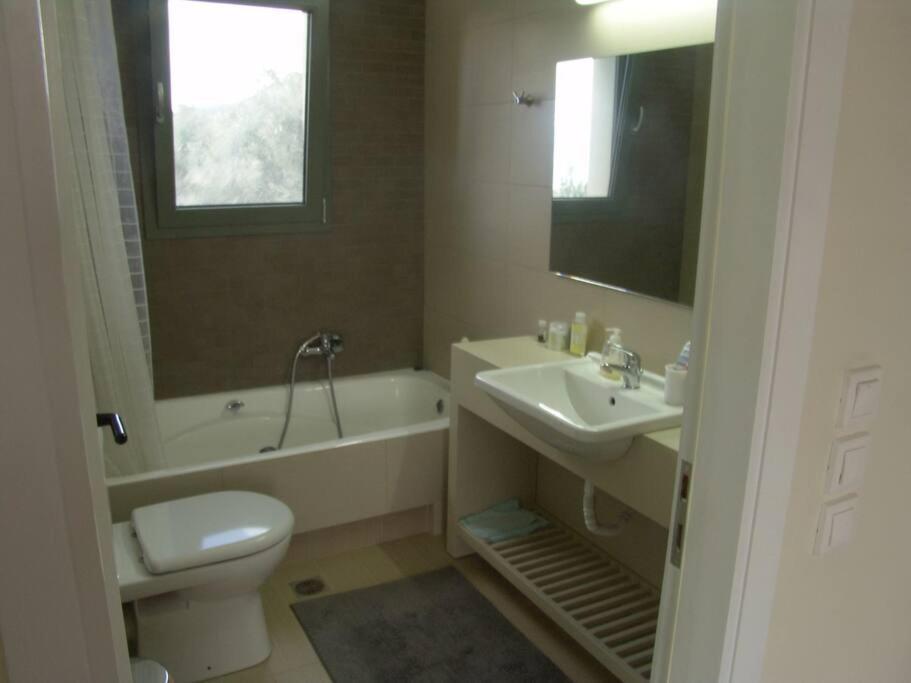 Panoramic View Summerhouse Loukissia Luaran gambar