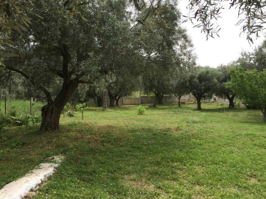 Panoramic View Summerhouse Loukissia Luaran gambar