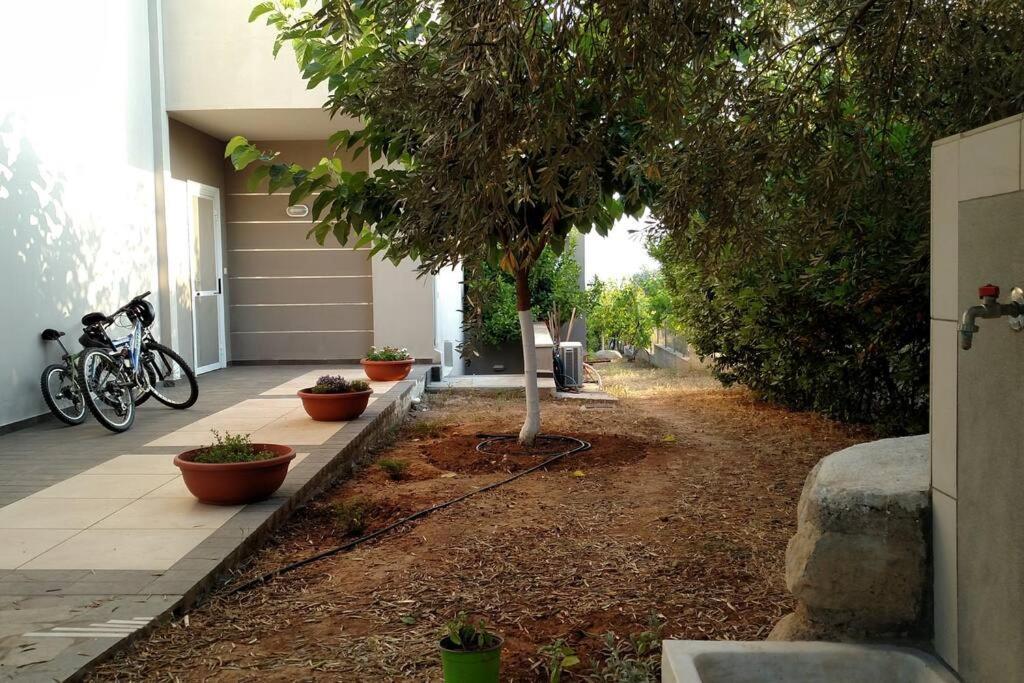 Panoramic View Summerhouse Loukissia Luaran gambar