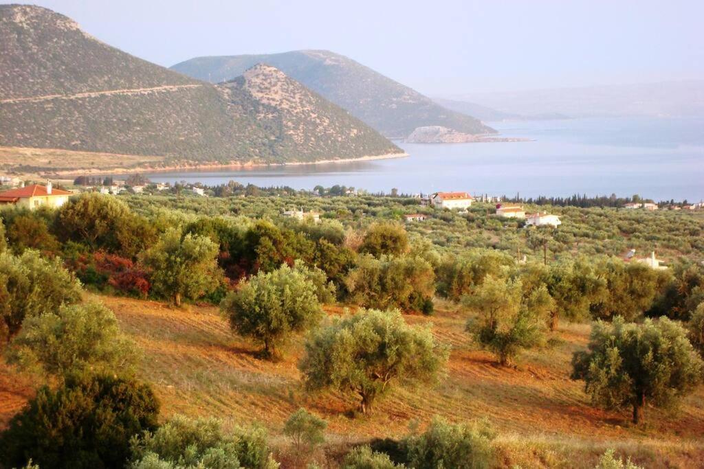 Panoramic View Summerhouse Loukissia Luaran gambar