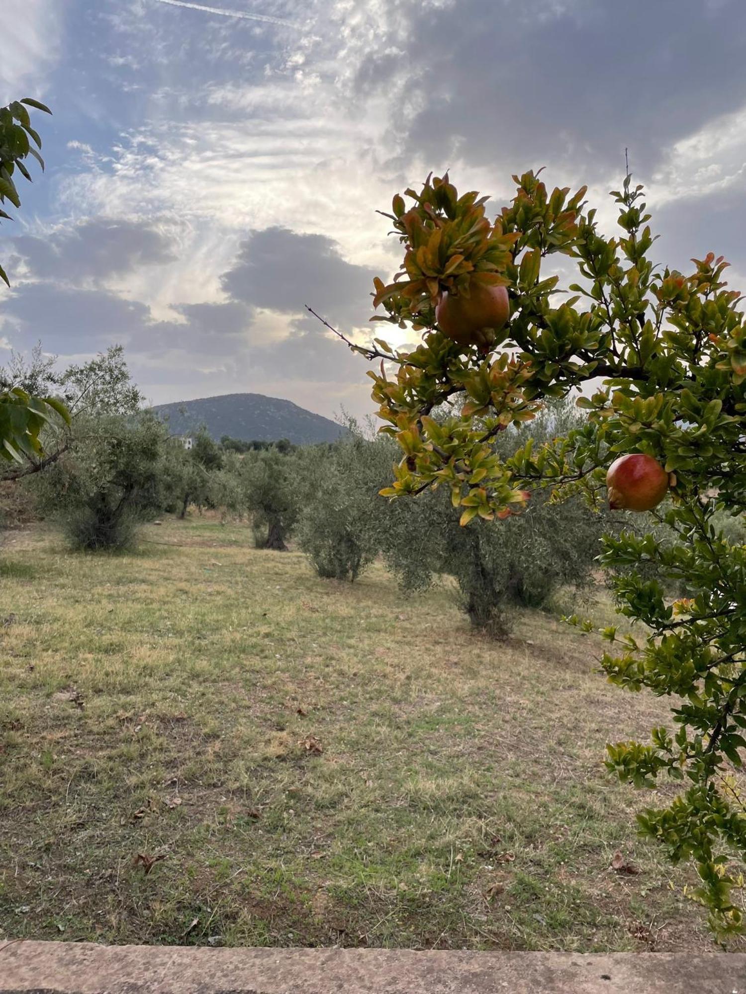 Panoramic View Summerhouse Loukissia Luaran gambar